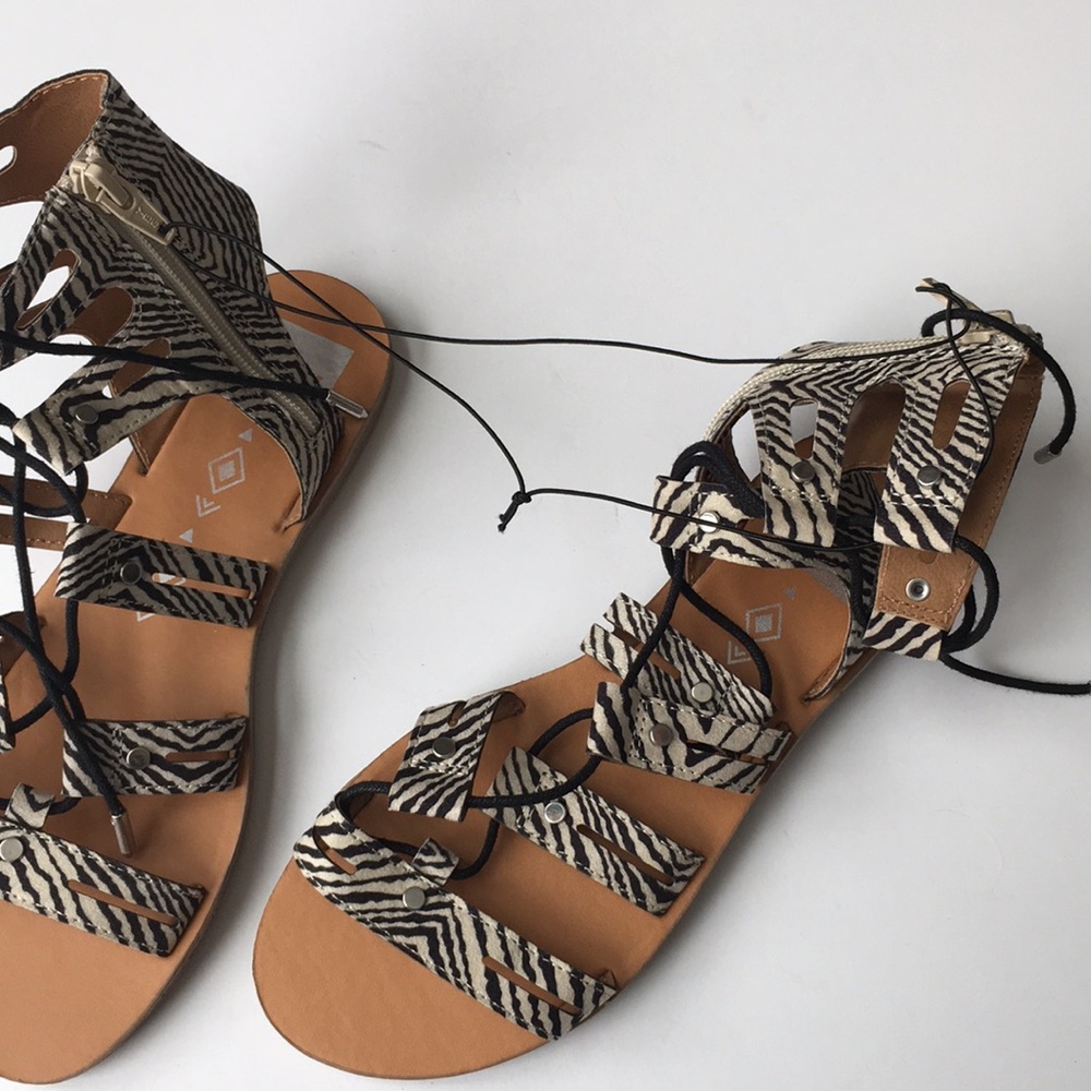dv Gracelyn Lace Up Gladiator Sandals Zebra New - Picture 7 of 7